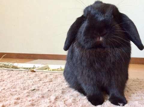 CCC36C91-B479-4F7B-8F35-A27A85ABADB8