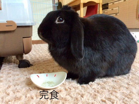 F372AB93-D23F-4541-9F07-0A21DCE93465