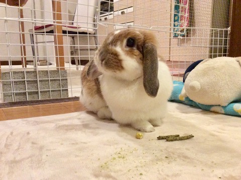 3D3794A8-E301-4462-9BED-86F1FB8066BB