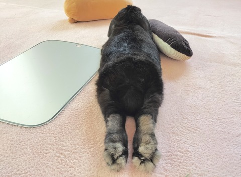 1F3DB095-F86A-45BF-B2D8-2CEF594901A2