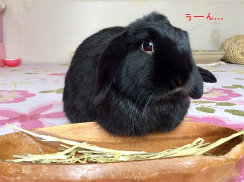 D7E34B7E-D6DE-4F77-ABD3-171F91B7EFD2