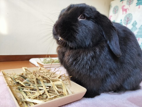 853E0487-F352-4817-8D19-084EFBD7A3C8