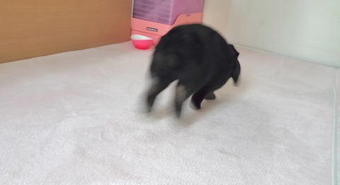 99821A39-DAED-4EED-83E0-960286FA14C4