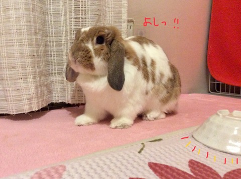 3BC38BB8-2482-4D52-ACA5-CC312B629C98