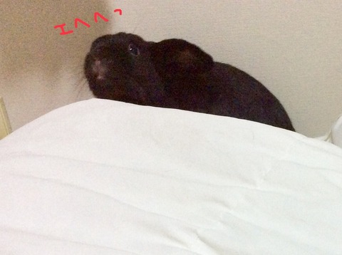 05EB93B0-CECC-49A3-8B8A-78D3EFD20DE3