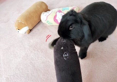 BFDF6FA7-D056-481E-A101-FB0FEE678D83