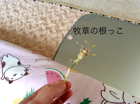 21D31640-699F-4DC7-8F93-E9F60305E02F