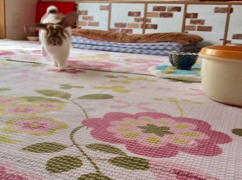 B159E2A0-CB3D-4B9A-8C91-650AE6DB155B