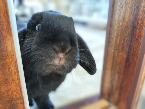 F4E2F9A6-3D80-42C1-9734-966F04014F4C