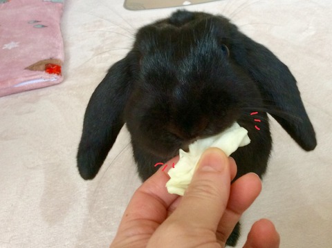 B44181EB-75A8-4210-A83F-D14347CCD43B