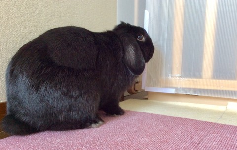 BCF6517A-7A20-4062-85D6-EEB8EE917824