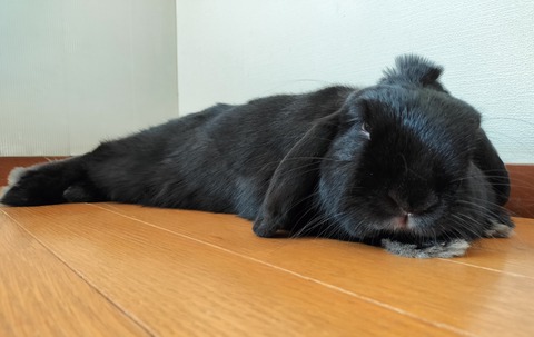 0CF9C575-218E-4B99-ADEE-FC3A02C0BF21