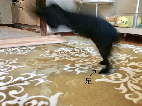 0C367303-276A-4B1D-9304-075A6F32820E