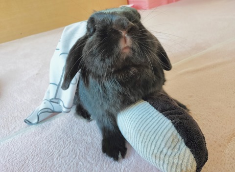 D435B4AC-19C7-4F26-8401-0602A148208B