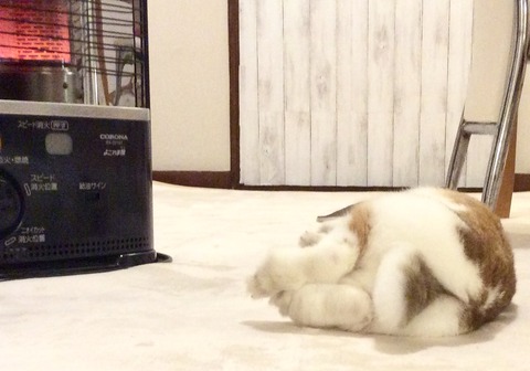 24711769-64F7-4FF3-BE50-C308D9CC748B