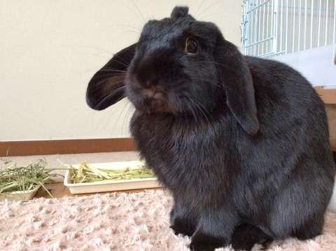 8F18C4DA-74A2-498E-8B7A-3A008204A926