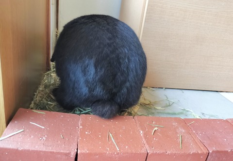 C6FCD2DC-9CE9-4ECB-BFE1-7A9703CF65F2