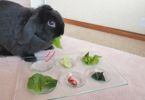 43571D94-17E7-4C7E-9AC7-04D78FAA948A