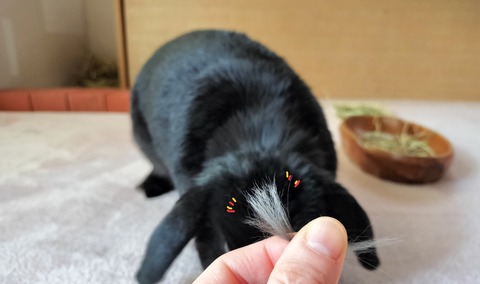 D91BFE6A-E109-4CEC-97EE-C71C9F2EBC27