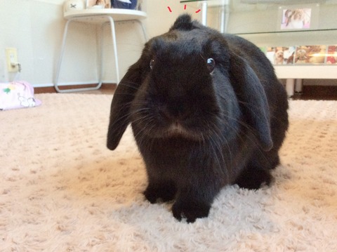 F43CD0BD-D720-4E40-A437-20CBFBA0A2F6