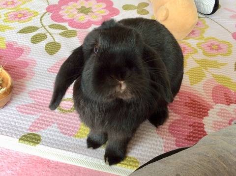 323138A7-1E09-4823-8A73-2DA07F4C419C