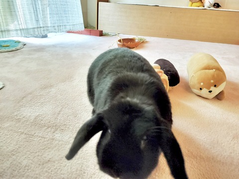 7CC2CD2D-7340-47C9-A154-76BEF305105A