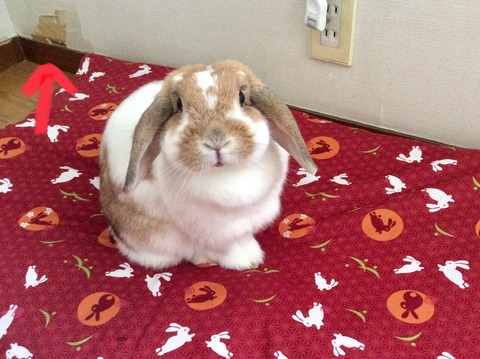 0FCE72F1-B99F-4CC4-812A-A1F81473BDB9