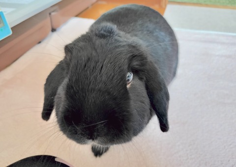 4967F7F7-0B3E-44E5-8C61-EEC22461D4FF