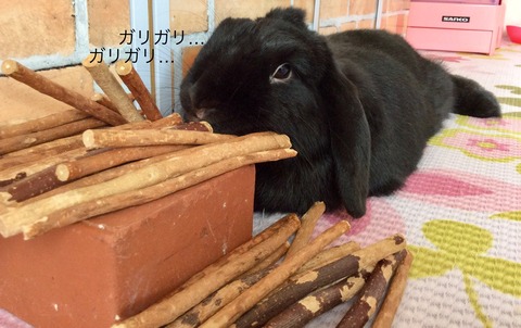 FAE298E6-9498-49B7-9878-66EC4B4C9ABA