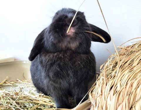 B79E6E83-DFBB-473F-A39B-2D80F96FE1A2