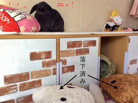 FAA8F681-4388-49F0-92C1-A07C3369EB9C