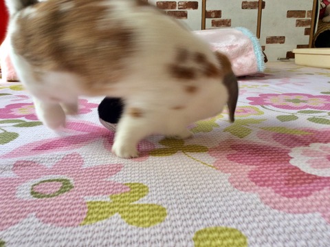 F0BA0D7C-E89B-4D1F-96D4-7E3141F161B9