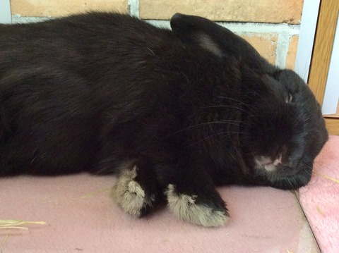 03A73B04-CCAE-4E74-ABEB-97490925B082