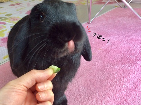 E15A5832-AE35-4C08-BF61-49994D82E5D2