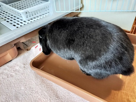 70D90193-21A8-46F1-A4A3-6DCC0454E80B