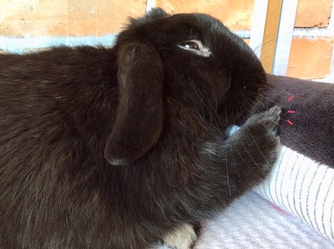 2C4425DA-529D-470D-9DE5-0E764D0D89A5