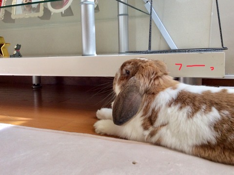 003DB434-2BAF-45D1-BF18-652962715786