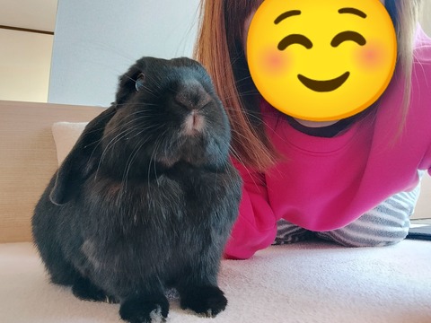 31032AE5-B213-4AFD-BC2C-BE01ACFEA335