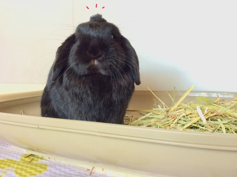 873FCD65-095E-4291-AAA6-9A0413F9CC88