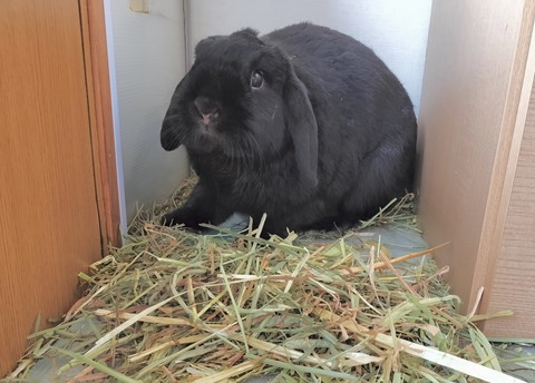 97892EA0-D3AB-40AC-B812-DD1DAEAFE123