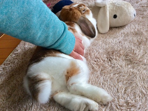 EBED3616-8A10-492E-83A7-57531E1DE414