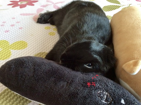 663642A8-0204-48F9-8605-13FD45BAE55E