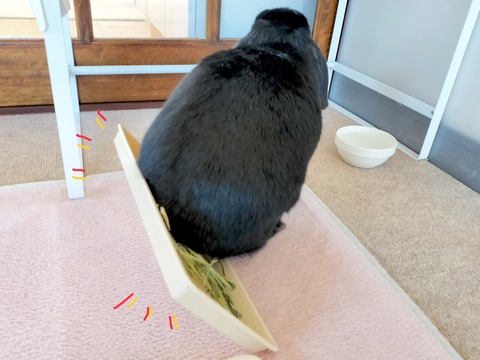 01B81338-503C-42EF-9E70-4FB9AA216618