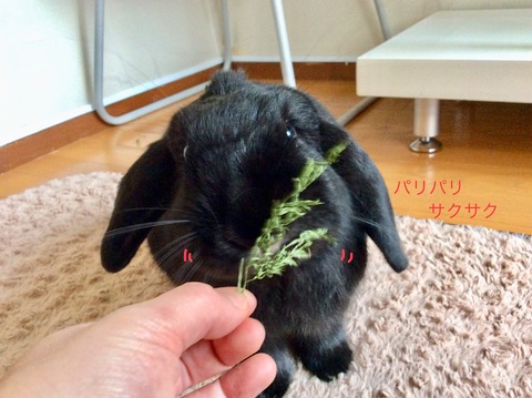 E2C8FF95-F28E-4026-BCD3-DD1671EFC599