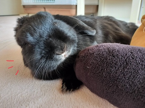 9570B9A3-933C-42ED-B122-4814C287B3DD