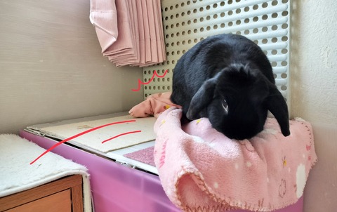 071F720C-E410-4F4A-8B8D-9C72A336F2D7