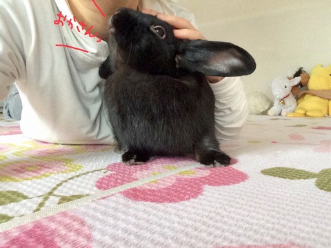 9A14501E-7818-4941-A23E-0638E0EEDD3B