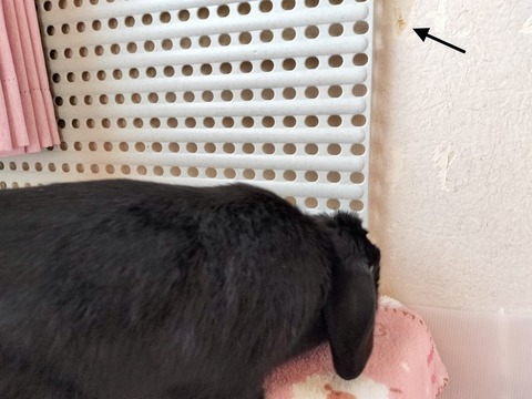 76FB07BD-70EC-400C-A8D4-3CB27CD63F97