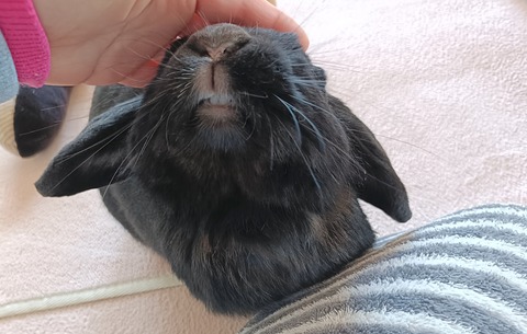 3412991F-2936-4C9D-93FB-1D7628F15432