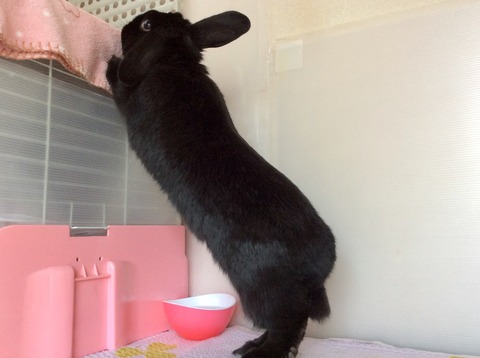 5FC49FE1-F1FF-4AC4-ADA8-27CC0529CBBE